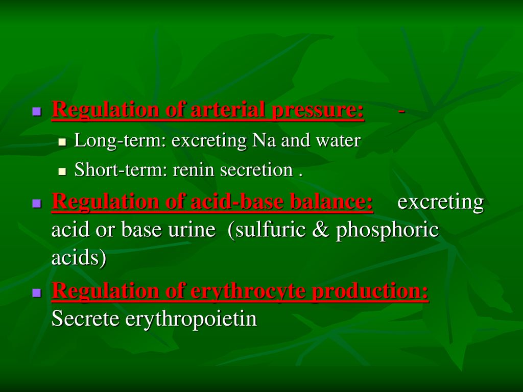 RENAL SYSTEM. - ppt download